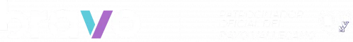 LOGO BRAVO_RAYO